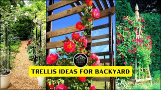 77 Garden Trellis Ideas for Backyard! Perfect for Climbing Plants