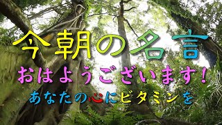 【毎朝７時投稿】おはようございます！今朝の名言です！ あなたの心に名言のビタミンをお届けします☺️🌱🌸🌼#名言　#人生　#心　#朝　#今朝の名言