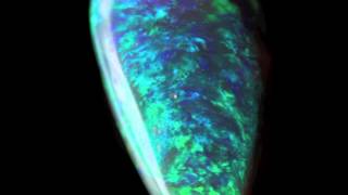 Black Opal Lightning Ridge 4.80ct.HD