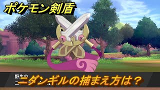 ポケモン剣盾　ニダンギルの出現場所は？オススメの場所は？天気は？ポケモン図鑑コンプへの道！　最新版【ポケモンソード・シールド】