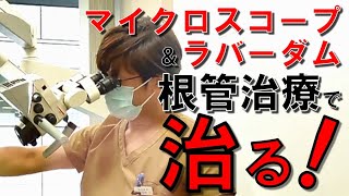 ４０分ノーカット 根管治療（ﾏｲｸﾛｽｺｰﾌﾟ＆ﾗﾊﾞｰﾀﾞﾑ）最新治療実際の様子！【ﾆｯｹﾙﾁﾀﾝ製ﾌｧｲﾙの使い方、根管治療の手順】（歯科学生・歯科医師・歯科衛生士・歯科助手向け動画）