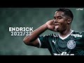 Endrick 2022/23 - The Future | Magic Skills, Goals & Assists | HD