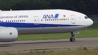 全日空 B773の美しい離陸 新千歳空港 ANA B773 beautiful takeoff New Chitose Airport