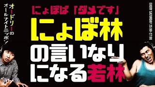 にょぼ林と若林の親子みたいな会話【オードリーのラジオトーク・オールナイトニッポン】