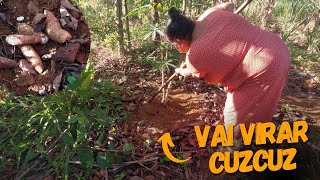 MINAS GERAIS CUZCOZ MADE WITH MANDIOCA | I went to the backyard to harvest - Part 1