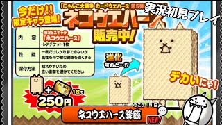 にゃんこ大戦争 購入キャラ｢ネコウエハース｣ ネコウエハース降臨 実況初見プレイ