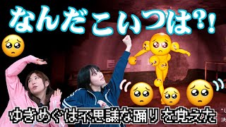 【ゆきめぐTVホラー】今度こそ最後だ!!すべてのPIENを消したその後とは!!【PIEN】