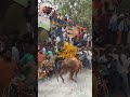 jallikattu tdpsongs tdp trend chandrababusongs song music remix dj