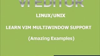 Vim Basics Multi Windows Editing
