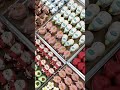 So adorable my student's macarons in class! 수강생님 작품 #shorts #shortvideo