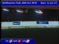 igb the last chance for a winner a0 20 10 2018 race 12 shelbourne park