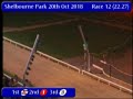 igb the last chance for a winner a0 20 10 2018 race 12 shelbourne park