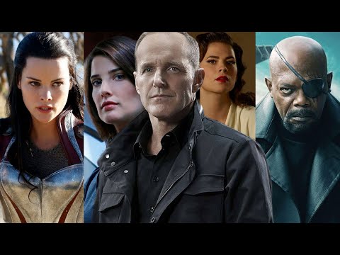 Do any Marvel characters appear in Agents of Shield?