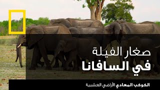 أزمة المياه: السلطة والمياه | ناشونال جيوغرافيك أبوظبي