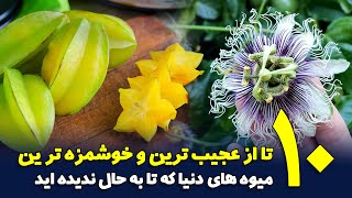 10 تا از عجیب ترین و خوشمزه ترین میوه های دنیا که تا به حال نخورده اید