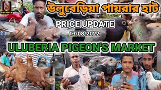 Uluberia Pigeon Market Price Update || Howrah Uluberia Pigeon Market Price Update || One Moon