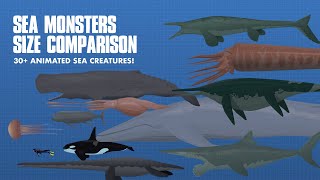 LARGEST SEA CREATURES | ANIMATED Size Comparison (Sea Monsters)