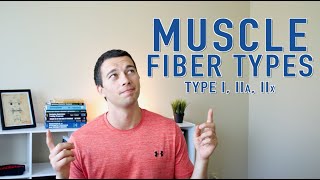 Muscle Fiber Types Explained: Type 1, Type 2a, Type 2x | Muscle Physiology and Training Adaptations