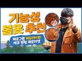 간절기 예쁜 등산복 기능성 자켓, 써모라이트 에코 캠핑 제로자켓 상세리뷰 근교산행 친환경 캠핑 필수품 예쁜 등산복 캠핑룩 제로그램 신슐레이트 Zerojacket Zerogram