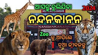 ଆସନ୍ତୁ ବୁଲିଯିବା ନନ୍ଦନକାନନ 2024 | NANDANKANAN ZOOLOGICAL PARK | #nandankanan #odiavlog #dailyvlog