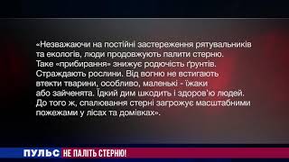 Не паліть стерню! Випуск від 21.03.2019