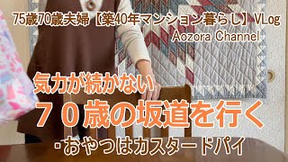 【年金生活】75歳70歳夫婦の記録Vlog 気力が続かない70歳の坂道を行く / 53年来の友来たる / おやつはカスタードパイ / Japanese senior Vlog.