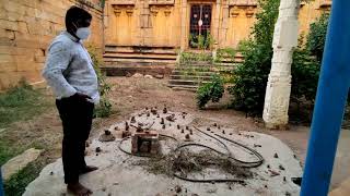 Ancient temple's visit | காளையார் கோவில் | சிவகங்கை மாவட்டம்| VLOG