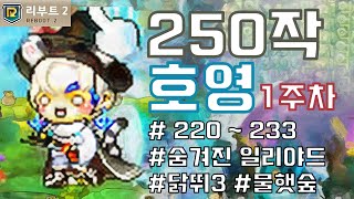 250작 호영 1주차 220~233