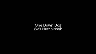One Down Dog - WES HUTCHINSON #music #country #folk