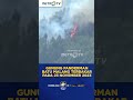 Gunung Panderman Terbakar #shorts