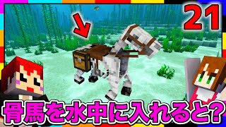 【マイクラ】誰も知らない骨馬の隠された能力！知ってた！？【あかがみんクラフトGO/赤髪のとも/マインクラフト】#21