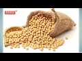 메주콩 효능 성분 soya bean benefits