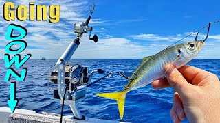 The secret to catching deep holding fish! (catch & clean)