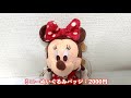 【グッズ紹介】東京ディズニーランド37周年グッズが可愛すぎる！オススメグッズは？