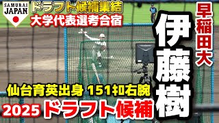 【侍ジャパン】2025ドラフト候補　早稲田大・伊藤樹（仙台育英）紅白戦で打者9人と対戦　仙台育英出身151キロ右腕　全投球　ドラフト候補　2024.6.22　　プロ野球