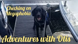 Otis checks out Megaphobia, the Cruisers International Vee Express 267 motor yacht at the bay.