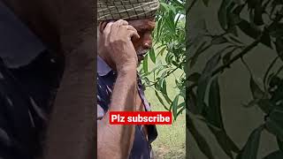 #vlog #agriculture #fashionstyles #shortvideo #funny అయ్యి బాబోయి నవ్వు అపుకోలేం