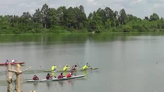 บรรยากาศการแข่งเรือ เทศบาลกุดชมภู