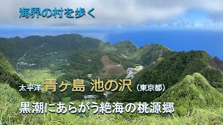 海界の村を歩く 太平洋 青ヶ島池の沢（東京都）／黒潮にあらがう絶海の桃源郷