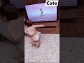 Funny Amazing Kid Dancing Dame Tu Cosita