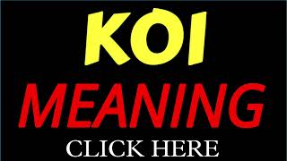 What does the name KOI mean | KOI meaning in english | Meaning of name KOI