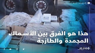 مبادرة تزود عددا من المدن الكبرى بالأسماك المجمدة.. وهذا هو الفرق بين الأسماك المجمدة والطازجة