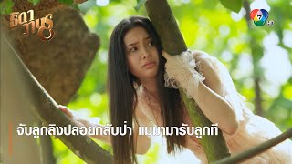 จับลูกลิงปล่อยกลับป่า แม่มามารับลูกที | ตอกย้ำความสนุก ธิดาวานร EP.22 | Ch7HD