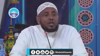 Qiso qosol badan // sh shariif dhawiil