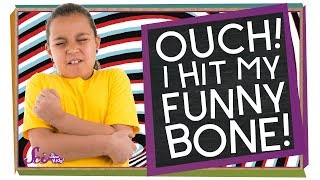 What's Your Funny Bone?