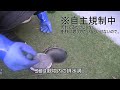 大丈夫 サンポール廃棄 処分方法は？側溝 ドブ に捨ててもいいですか キンチョーさんのトイレ用洗剤 塩酸はコンクリートも腐食する？トイレに流すが正解ですか？アラウーノでも流せますか