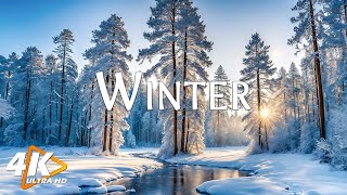 Enchanting Winter Wonderland 4K ❄️Greart Relaxing Music with Beautiful Winter Nature - Music therapy