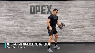 Alternating Dumbbell Squat Clean