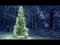 10 hours snowfall on christmas tree in the woods video u0026 audio 1080hd slowtv