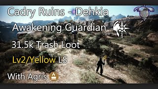 Black Desert Online | Guardian Awakening Dehkia Cadry Ruins 31.5k tl [Lv2 with Agris]